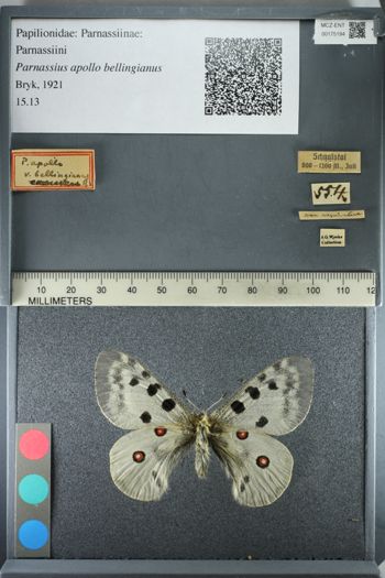 Media type: image;   Entomology 175194